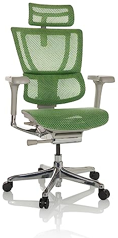hjh OFFICE Bürostuhl ergonomisch ERGOHUMAN Slim G GEN2 Originales Design, 24h Einsatz, Drehstuhl mit Flexibler Lordosenstütze, Netz Grün