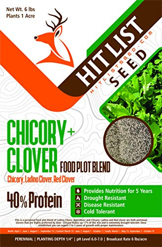 HIT LIST SEED® Chicory + Clover Food Plot Seeds for Deer [Perennial] - Deer Food Plot Seed Perennial - Deer Plot Seed Mix - Chicory, Ladino Clover, Red Clover - Spring, Summer & Fall Planting - 6 lbs