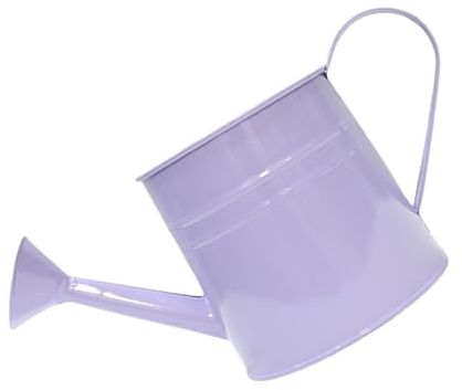 Arrosoir vintage en fer pour pot de fleurs ou décoration de bureau