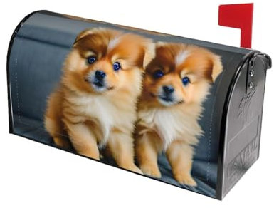 Premium Pomeranians Puppies and Point Briefkastenabdeckungen - Schützen und verschönern Sie Ihren Briefkasten noch heute