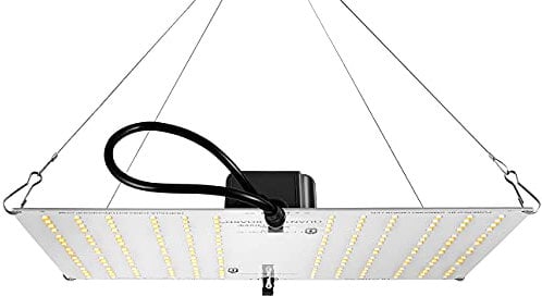 Horticulture Lighting Group HLG 100 V2 4000K Quantum Board LED Grow Easily Veg & Bloom | Version 2 Highly Efficient Upgraded Samsung LM301B LEDs