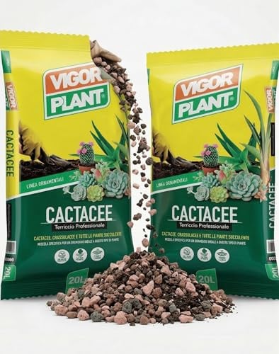 Terriccio Professionale Piante Grasse 2 Confezioni da 20L (40L Totali) | Terriccio per Cactus, Piante Grasse e Succulente | Substrato Drenante per Crassulacee, Rinvaso e Coltivazione