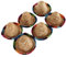 Mini Sombreros de Paja Decorativos Juego de 6 Mini Sombreros de Paja en Colores Brillantes Estilo Mexicano Borde Ancho para Decoraciones de Bricolaje Agregue un Toque Festivo a