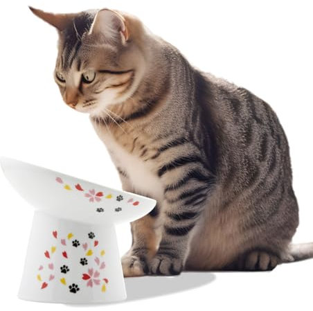 Necoichi Extra Wide Raised Cat Food Bowl, Elevated, Prevent Neck & Whisker Fatigue, Dishwasher and Microwave Safe, No.1 Seller in Japan! (Sakura Limited Edition, Extra Wide Tilted)