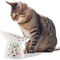Necoichi Extra Wide Raised Cat Food Bowl, Elevated, Prevent Neck & Whisker Fatigue, Dishwasher and Microwave Safe, No.1 Seller in Japan! (Sakura Limited Edition, Extra Wide Tilted)
