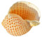 HIFRQVVC Coquillage Naturel,Coquillages de Plage, Coquilles de Bernard-l'ermite Fournitures de Bernard-l'ermite Taille d'ouverture 1 à 3 Pouces Coquilles de Bernard-l'ermite Naturelles