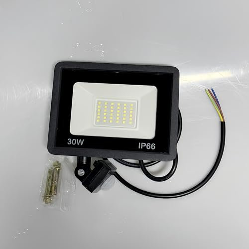 Focos LED Exterior 30W, Foco Proyector LED IP65 Impermeables, 3000LM, 6000K Blanco Frío, Super Brillo, Iluminación Exterior Luces de Seguridad para Jardín, Garaje, Patio, Terraza, Campo Deportivo
