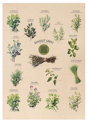 Premium Kräuter-Poster A3 mit Rezept-Generator | Nachhaltig auf Graspapier gedruckt | 14 Küchenkräuter mit botanischen Namen | Hochwertige Küchenwandkunst für Hobbyköche & Gartenfreunde