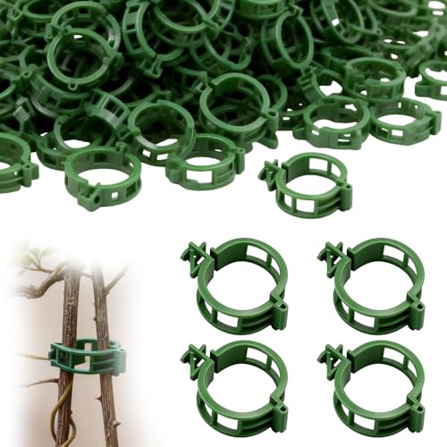 Weciau 250Pcs Plant Clips, Plastic Plant Support Clips for Climbing Plants, Flower Stem Clip for Upright Growth, Reusable Trellis Clips for Tomatoes, Vines, Cucumbers (Green)