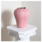 Meoky Vase à Fraises en céramique hydroponique Grand Vase décoration de la Maison Salon Jardin décoration de Vase Rose,Rose,L