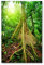 Postereck - 1325 - Baum, Dschungel Urwald Asien Sonne Natur Wald - Wandposter Fotoposter Bilder Wandbild Wandbilder - Poster - DIN A3-29,7 cm x 42,0 cm