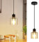ZMH Pendelleuchte Esstisch Hängelampe Vintage Esstischlampe Hängend E27 Hängeleuchte Schwarz 1 Flammig Esszimmerlampe Retro Industrial Pendellampe für Wohnzimmer Hotel Büro (ohne Leuchtmittel)