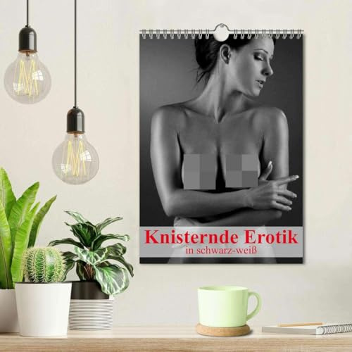 Knisternde Erotik in schwarz-weiß (Wandkalender 2026 DIN A4 hoch), CALVENDO Monatskalender: Ein erotischer Planer für ein sinnliches und knisterndes Jahr (CALVENDO Erotik)