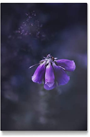 artboxONE Galerie-Print 120x80 cm Fuchskraut hochwertiges Acrylglas auf Alu-Dibond Bild - Wandbild von LinaTea