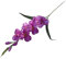 Baoblaze Künstliche Blumen Gladiolen, Kunstblumen Wie Echt, Artificial Gladiolus Flower Vivid, Artificial Flower Wedding Gladiolus für Zuhause, Bauernhaus, Hausgarten, Party, Hochzeit, lila Rot