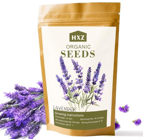 Semi di lavanda inglese premium - Oltre 10.000 semi per piante interne ed esterne - Semi di fiori ideali per giardini domestici