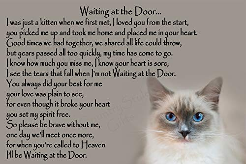 Ragdoll Cat Bereavement Memorial Flexible Fridge Magnet Sympathy Gift - Waiting at The Door