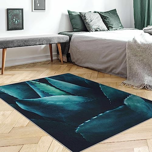 Bilderwelten Waschbarer Teppich Vintage rutschfest Sukkulente Petrol Läufer Wohnzimmer Schlafzimmer 240x160 cm