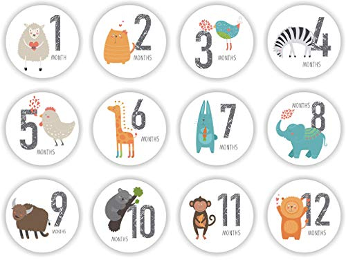 12 Stück Baby Schwangere Monatliche Aufkleber Memory Recording Aufkleber Requisiten Baby Monatliche Aufkleber Tiere Baby Monatliche Aufkleber Tiere Monatliche Aufkleber für Baby Junge Monatliche