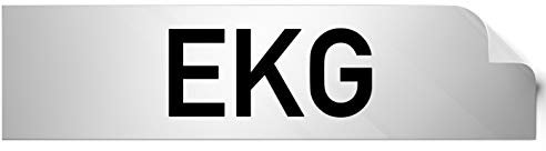 Kinekt3d Leitsysteme Folienschild Türschild • EKG • PVC Hinweisschild • 160 x 40 mm Silber • selbstklebend • Kratzfester Druck • UV Beständig
