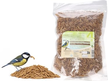 Fågelmat för vilda fåglar - mjölmask Flamingo - 300 g - proteinrik naturföda - för fågelmatare utomhus