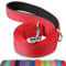 Joytale Padded Handle Dog Lead,Double-Sided Reflective Nylon Leads for Training, Walking Leash for Large, Medium Dogs, 1.2m × 2.5cm, Red
