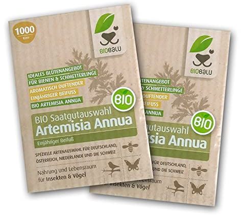 Artemisia Annua Saatgut in Bioqualität aus Demeter Anbau (2000 Korn)