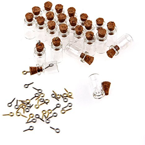 FSSTUD 50 Pièce Fioles Petit Flacon Mini Bouteilles en Verre Vides avec Bouchons en Liège et Tige a Vis