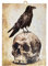 KUSTOM ART Bild im Vintage-Stil, Rabe auf dem Schädel aus dem Film I Mercels Expendables mit S. Schleife, Druck auf Holz, 25 x 18 cm.