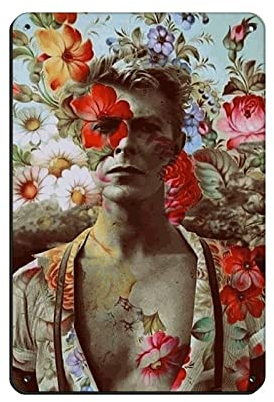 David Bowie Art Poster Album Cover Musik Poster (9) Blechschild Vintage Metall Pub Club Cafe Bar Zuhause Wandkunst Dekoration Poster Retro 20 x 30 cm