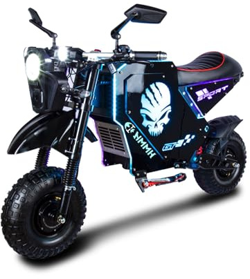 HWWH S10 Elektro Motorrad Erwachsene, E-Chopper E-Roller Doppelantrieb Nabenmotor 72V50Ah Lithium-Akku 120 km Max Reichweite, NFC-Start und 14-Zoll-All-Terrain-Reifen