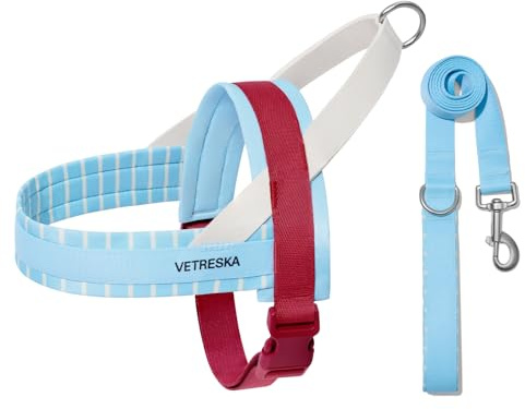 VETRESKA Dog Harness Medium Sized Dog No Pull, Adjustable No Choke Dog Vest, Easy Control & Walk Harness for Large Size Dogs, Pet Vest Harness with Heavy Duty Anti-Tangle Dog Leash, Misty Melo M
