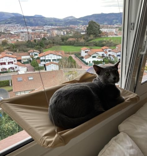 Hamaca de Ventana para Gato con ventosas, Cama Colgante Desmontable con Funda Lavable a Mano, Gris, 55 × 35 cm