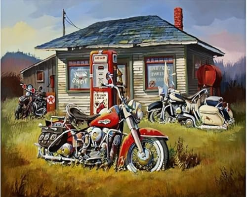 ABEUTY DIY Paint by Numbers for Adults Beginner - Motorcycle on The Grass Outside The House 16x20 inches Number Painting (No Frame)