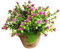 RORPOIR Plante Artificielle Bonsai Décoratif Plastique pour Décoration Intérieure et Extérieure Fausse Fleur Idéale pour Maison et Bureau