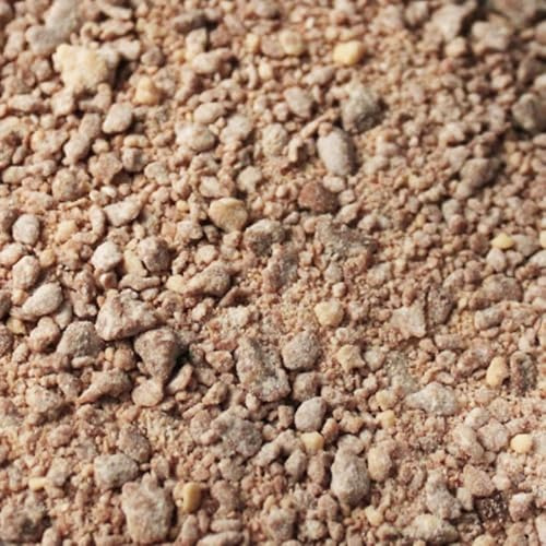 Original Choc Lick Jar 2.7kg - A Velvety Dust with Milk Chocolate, Nuts & Biscuit