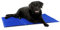 Navaris Kühlmatte Hund Kühldecke Katzen - Abkühlung Kühlmittel für Tiere - Gelmatte für Bett oder Auto - Regulierung der Körpertemperatur - Selbstkühlende Matte 50x90cm