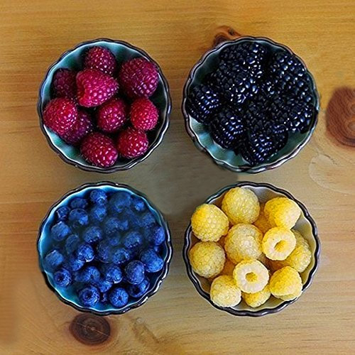 KINGDUO 400 Piezas/Paquete Mixto Color Frambuesa Semillas Cada 100 Pc Para La Semilla De Fruto Amarillo Rojo Negro Azul