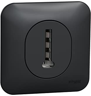 Schneider Electric - Ovalis - Prise téléphone en T - 8 contacts Avec plaque de finition -Anthracite - S460496
