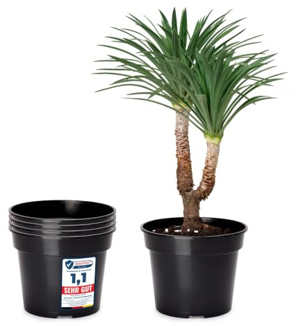 Garronda Blumentopf Kunststoff Pflanztopf rund Kräutertopf Anzuchttöpfe Blumentopf Schwarz für Innen und Aussen 39cm GD-0025 (5 Stück - Schwarz, ⌀ 39cm H=35cm)