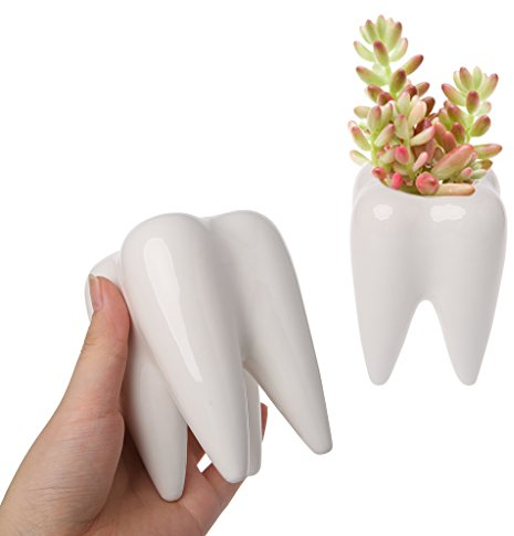 MYA Blumentopf, niedlich, kreativ, zahnförmig, Blumentopf, Blumentopf aus Keramik, Grün