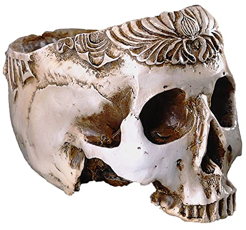 IBWell Pot de fleurs moderne en résine en forme de tête de mort 19,3 cm