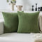 MIULEE 2er Set Kissenbezüge Kordsamt Kissenbezug Zierkissenbezug Dekokissen Sofakissen Kord Kissenhülle Dekorative Zierkissenbezüge Kissen für Sofa Sessel Zuhause Schlafzimmer 60x60cm Matcha Grün