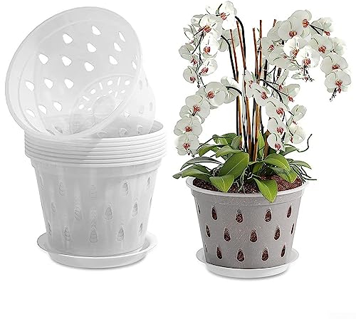 5 Pieza Vasi per Orchidee Vasi Trasparenti Plastica Piccoli Vaso Orchidee Plastica, vasi da fiori trasparenti da 14 cm, con fori e intaglio per giardinaggio
