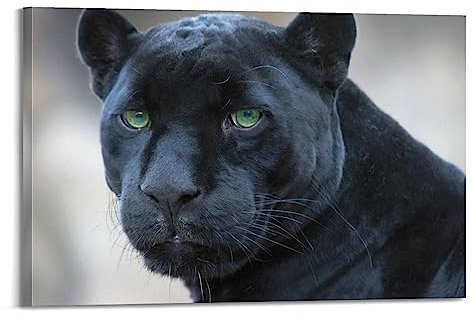 ECHUN Tierposter Black Panther Dekorative Leinwand Wand & Kunst Bild Gemälde 50 x 75 cm