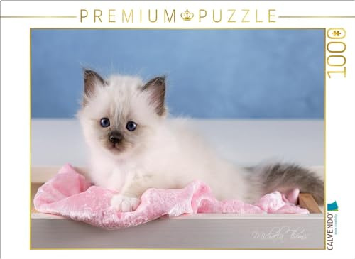 CALVENDO Puzzle EIN Motiv aus dem Kalender Heilige Birma Kitten - EIN Traum auf weißen Pfötchen | 1000 Teile Lege-Größe 64 x 48 cm Foto-Puzzle für glückliche Stunden