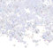 PATIKIL 30g Pearls and Rhinestones, 3-10mm Mix Flatback Rhinestones and Half Pearls Resin Rhinestone for Shoe Hair Nail Crafts Tumbler, White