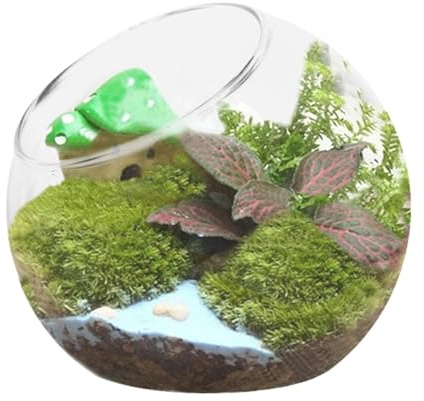 Vase rond en verre pour terrarium - vase en verre - Bouche inclinée - Décoration d'intérieur - Centre de table pour grasses et plus encore