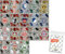 Bundle mit Topps Bundesliga Sammelsticker - 2024/2025 - Alle 18 Wappen + exklusive collect-it Hüllen
