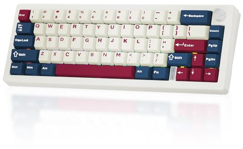 BOYI GMK67-65% Mechanical Keyboard,Gasket-Mounted HotSwap BT5.0/Type-C/2.4G Wireless South-facing RGB,Cherry Profile PBT Keycaps Linear Lubed Switches Custom Gaming Keyboard (White)